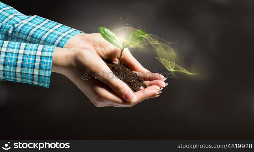 With love and care you will make it grow. Female hand holding green sprout with soil in palm