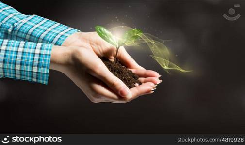With love and care you will make it grow. Female hand holding green sprout with soil in palm