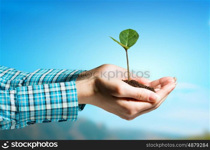 With love and care you will make it grow. Female hand holding green sprout with soil in palm