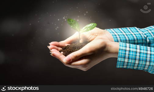 With love and care you will make it grow. Female hand holding green sprout with soil in palm