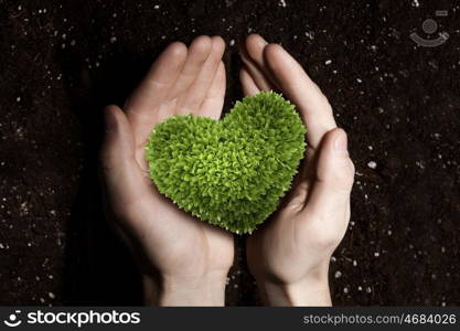 With love to nature. Green heart plant in human hands on soil background