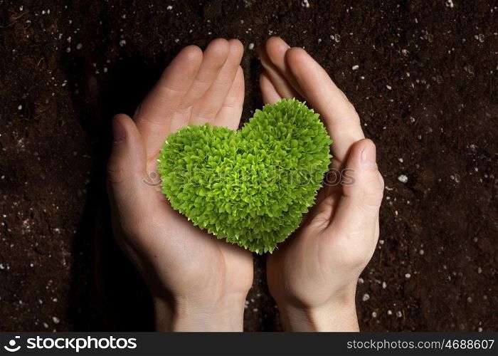 With love to nature. Green heart plant in human hands on soil background