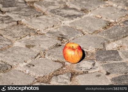 Withered apple on grunge street stone paving