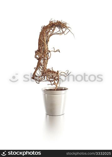 withered pound tree isolated 3d render
