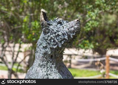 Wolf statue in bronze