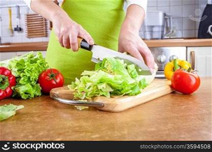 Woman&acute;s hands cutting lettuce, behind fresh vegetables.