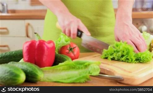 Woman&acute;s hands cutting vegetables