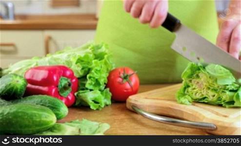 Woman&acute;s hands cutting vegetables