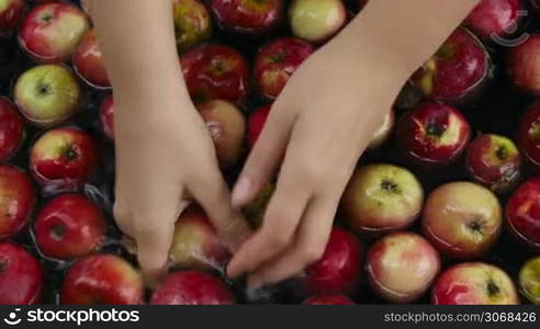 Woman&acute;s hands washing fresh apples floating in the water.