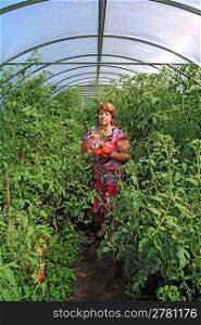 woman agronomist in plastic hothouse amongst tomato