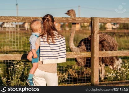 Woman and child at farm looking at ostrich. Family lifestyle rural scene of mother and son resting together.