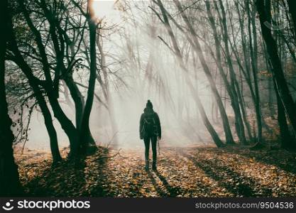 woman and dog strolling in beautiful foggy forest in autumn