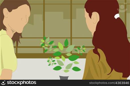 Woman and her daughter near potted plants