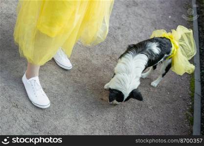 Woman and her pet scenic photography. Yellow skirts. Picture of lady and pet with identical apparel on background. High quality wallpaper. Photo concept for ads, travel blog, magazine, article. Woman and her pet scenic photography