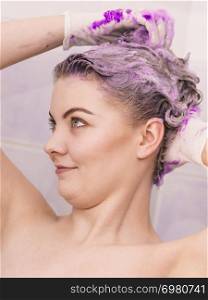 Woman applying coloring shampoo on her hair. Female having purple washing product. Toning blonde color at home.. Woman applying toner shampoo on her hair