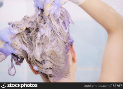 Woman applying coloring shampoo on her hair. Female having purple washing product. Toning blonde color at home.. Woman applying toner shampoo on her hair