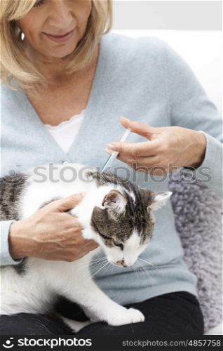 Woman Applying Tick And Flea Treatment To Pet Cat