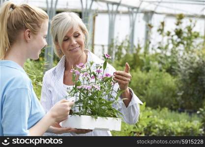 Woman Asking Staff For Plant Advice At Garden Center