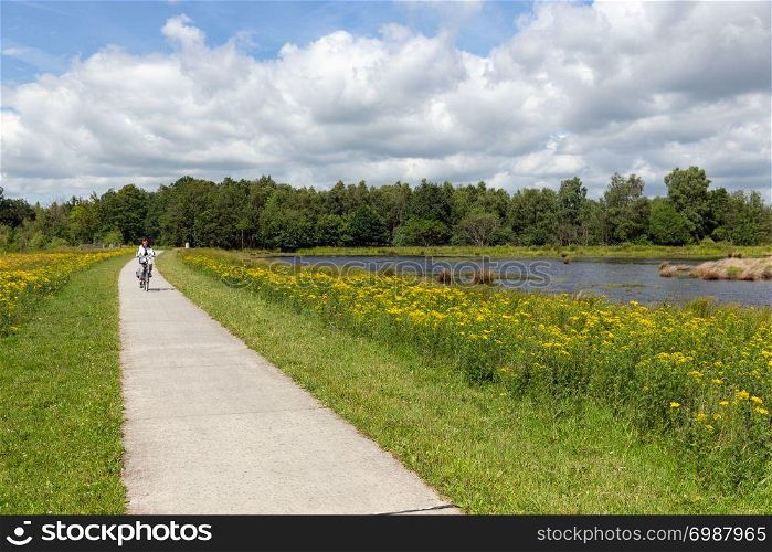 Woman at bike in Dutch national park with forest and wetlands. Biking woman in Dutch national park with forest and wetlands