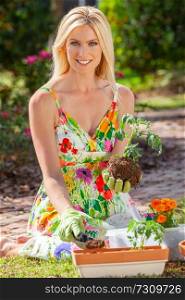 Woman, beautiful blonde female, gardening planting flowers and tomato plants in the garden
