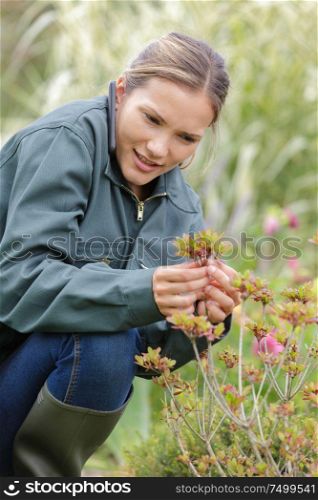 woman checking flower in garden