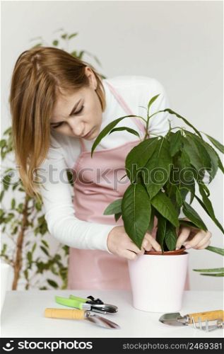 woman checking plant