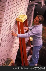 Woman Cleaning Brick Wall