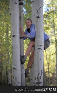 Woman Climbing Aspen Trees