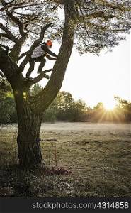 Woman climbing tree, Augsburg, Bavaria, Germany