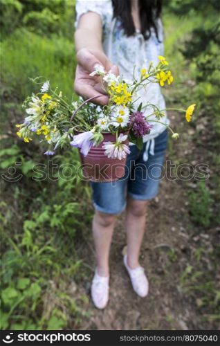 Woman collects flowers in the forest