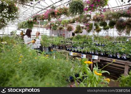 Woman communicating with female worker while buying plant