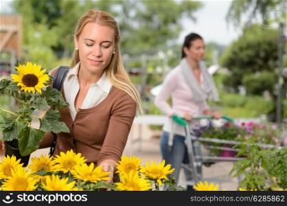 Woman customer choosing potted sunflower in garden center