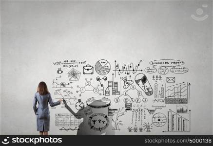 Woman demonstrating marketing plan. Back view of businesswoman drawing her strategy plan on screen