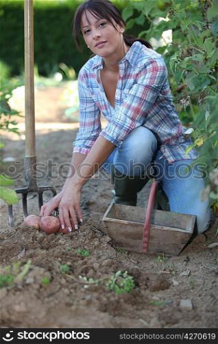 Woman digging potatoes