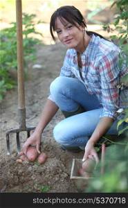 Woman digging potatoes in the garden