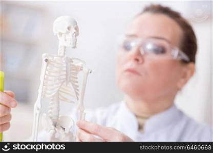 Woman doctor studying human skeleton