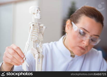 Woman doctor studying human skeleton