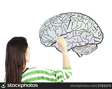 woman drawing human brain diagram