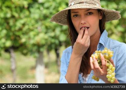 Woman eating bunch of grapes in field