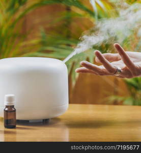 Woman Enjoying Aroma Therapy Steam Scent from Home Essential Oil Diffuser or Air Humidifier. Ultrasonic technology, increasing air humidity indoors for more comfortable living conditions. Woman Enjoying Aroma Therapy Steam Scent from Home Essential Oil Diffuser or Air Humidifier