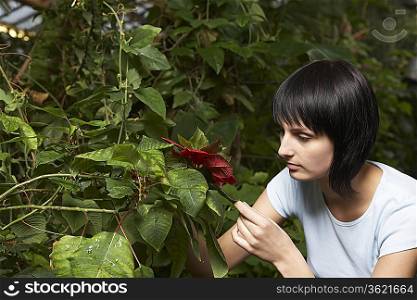Woman Examining Leaf