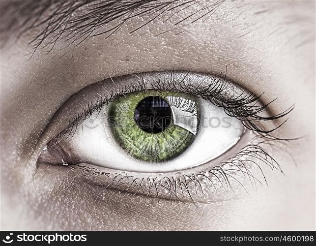 Woman eye. Close up of female clear green eye