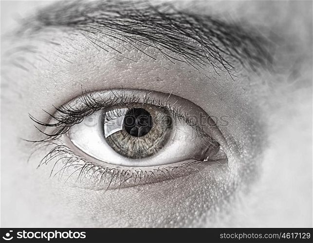 Woman eye. Close up of female clear green eye
