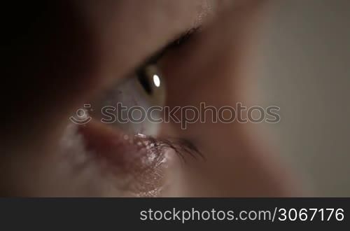 Woman eye. The profile view.