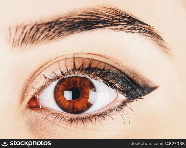 Woman Eye With Makeup And Long Eyelashes