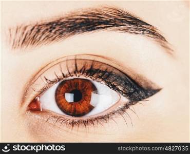Woman Eye With Makeup And Long Eyelashes