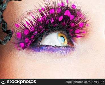 Woman eyes with stylish eyelashes