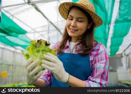 Woman farmer and checking fresh vegetable salad for finding pest in an organic farm in a greenhouse garden, Concept of agriculture organic for health, Vegan food and Small business.