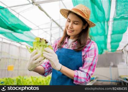 Woman farmer and checking fresh vegetable salad for finding pest in an organic farm in a greenhouse garden, Concept of agriculture organic for health, Vegan food and Small business.