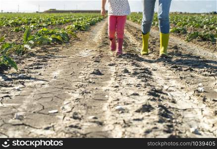 Woman farmer and little girl walking on the agriculture land. Child and mother in plantation. Sun light and shadows.